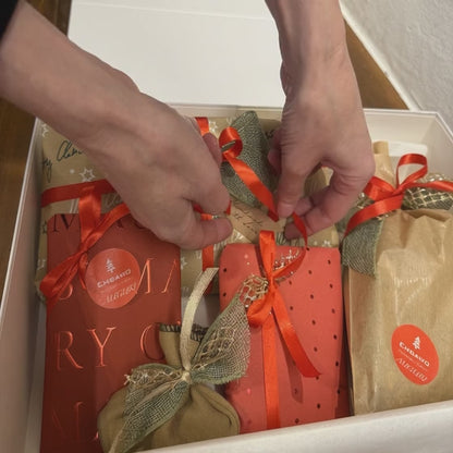 🎁 Christmas Mistery Box 2025 – Leonardo Edition